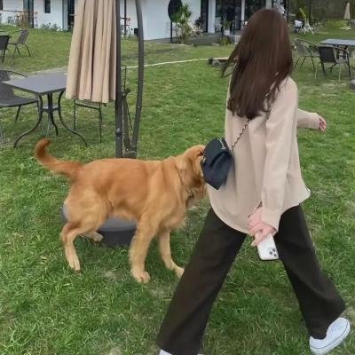 安逸人生